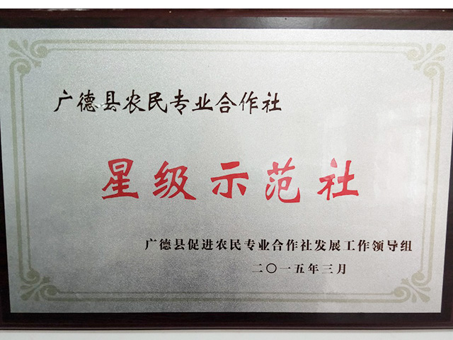 Ǽʾ